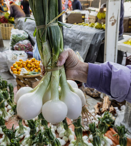 Hand holding vegetables for sale in market