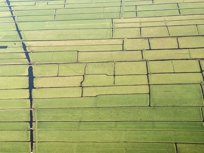Full frame shot of brick wall