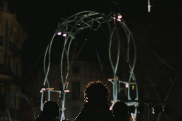Rear view of children enjoying circus at night