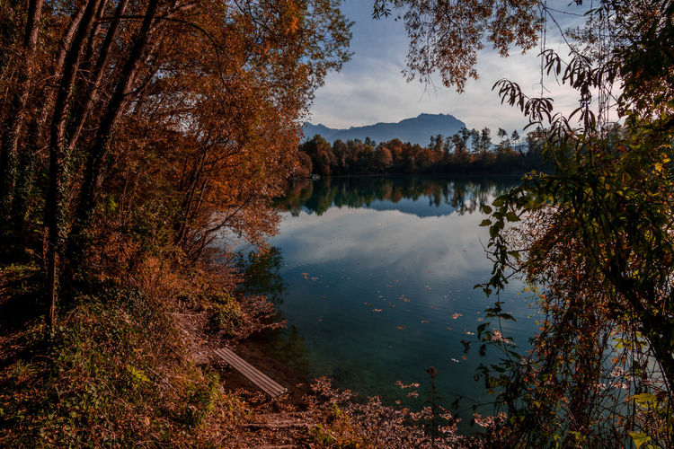 Scenic view of lake in forest against sky during autumn