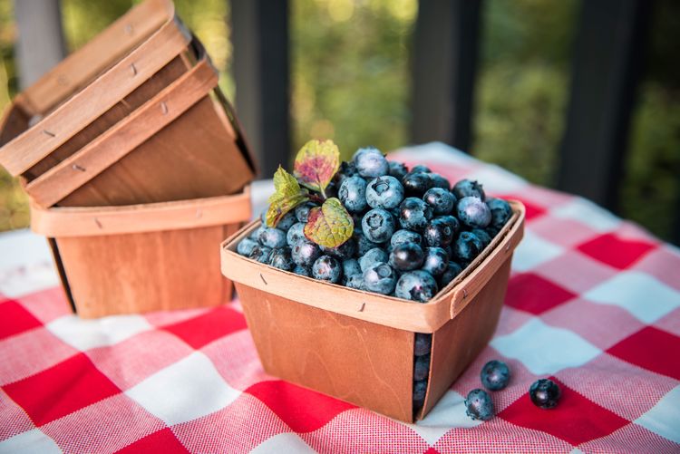 Close-up of blueberries in container on table