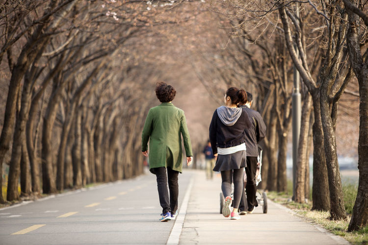 Rear view of people walking on road amidst bare trees