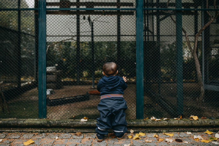 Rear view of boy standing by chainlink fence