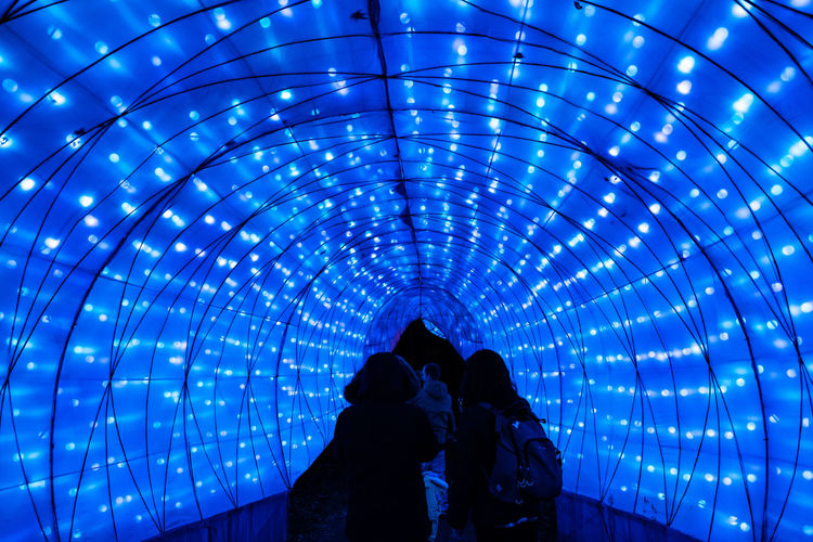 Rear view of people in illuminated tunnel
