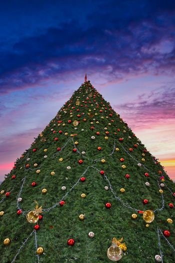 Christmas tree on field against sky during sunset