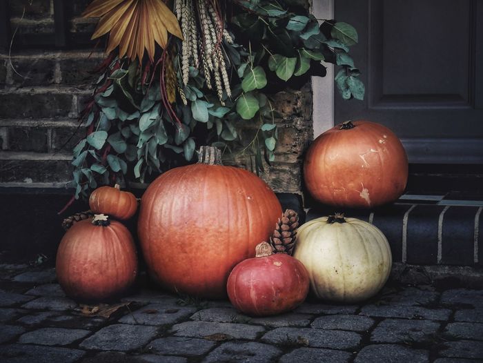Close-up of pumpkins on wall