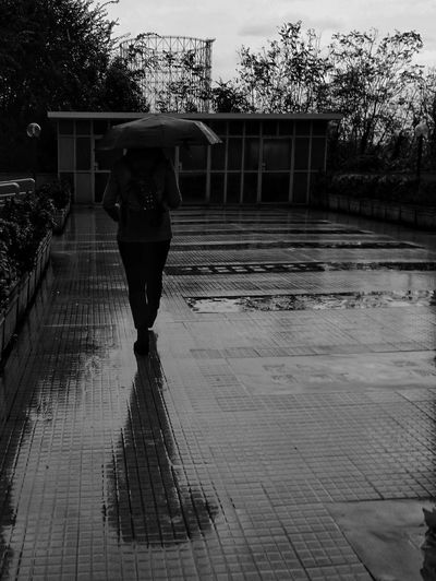 Rear view of woman walking on wet footpath