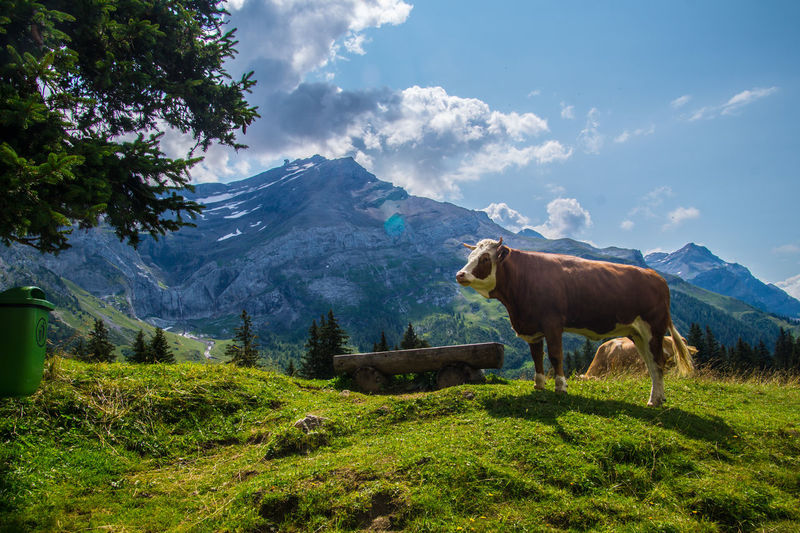 Les diablerets in lake of retaud in valais in swiss