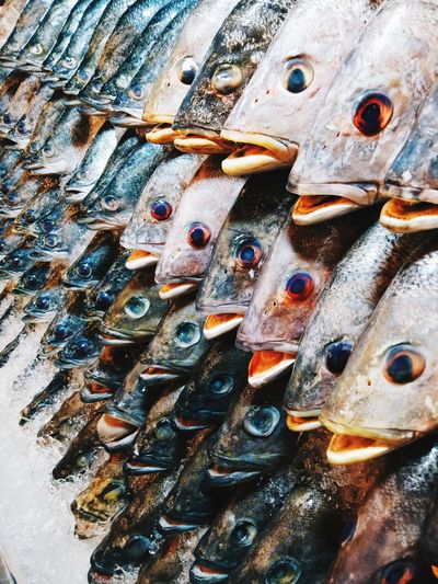 Full frame shot of dead fishes for sale at market stall