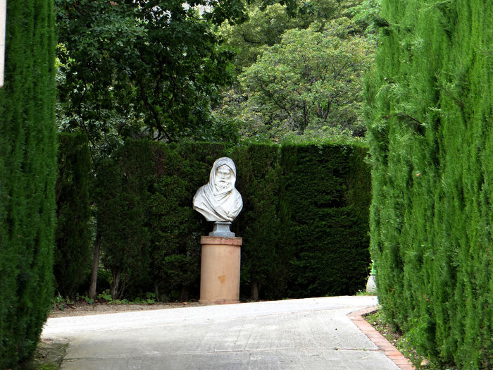 Statue against plants at formal garden