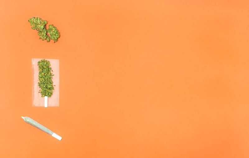 High angle view of potted plant against orange wall