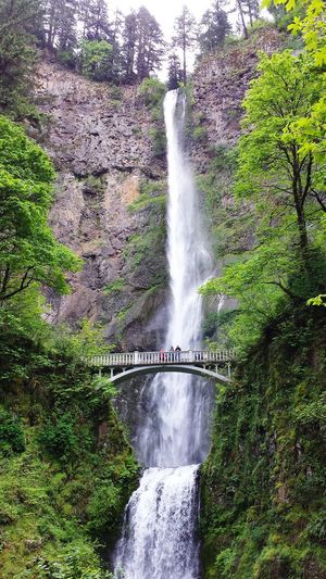 Low angle view of bridge against multnomah falls from cliff