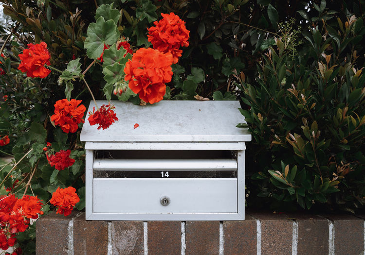 Mailbox surround by flowers