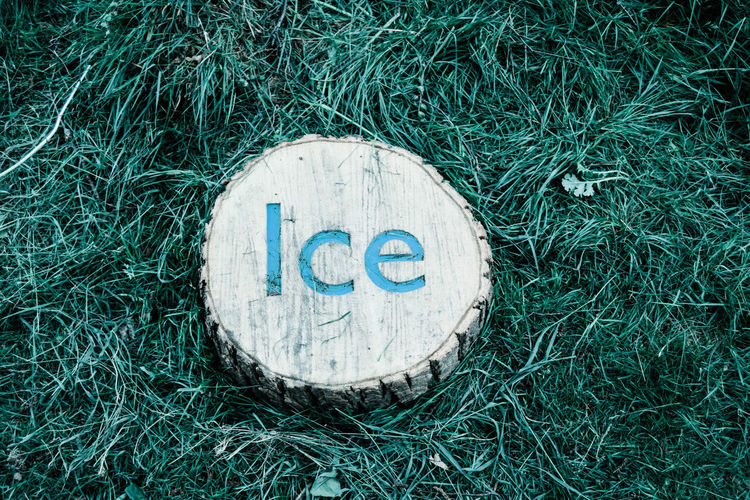 Ice carved on log
