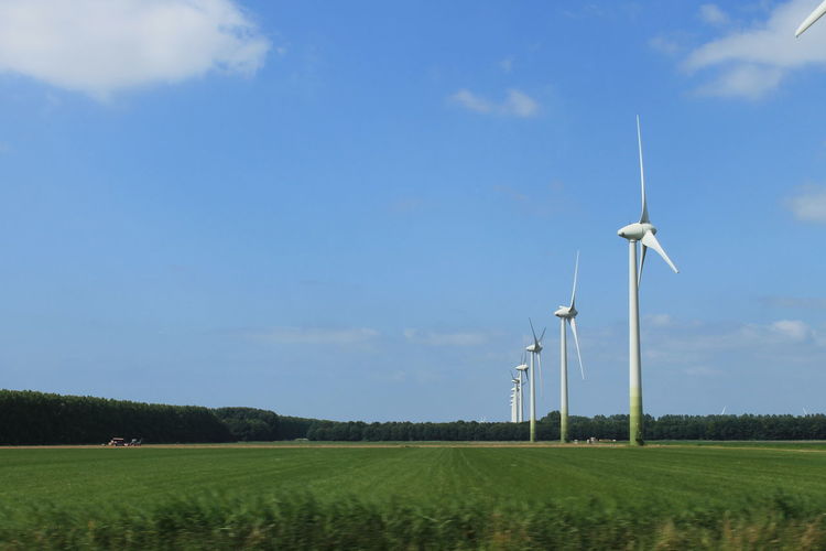 Wind turbines on grassy field