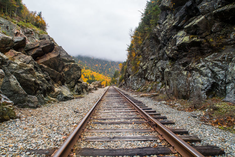 View of railroad tracks along trees