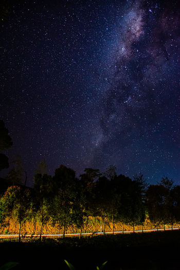 Silhouette trees against sky at night