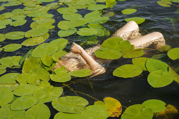 Naked woman swimming in lake