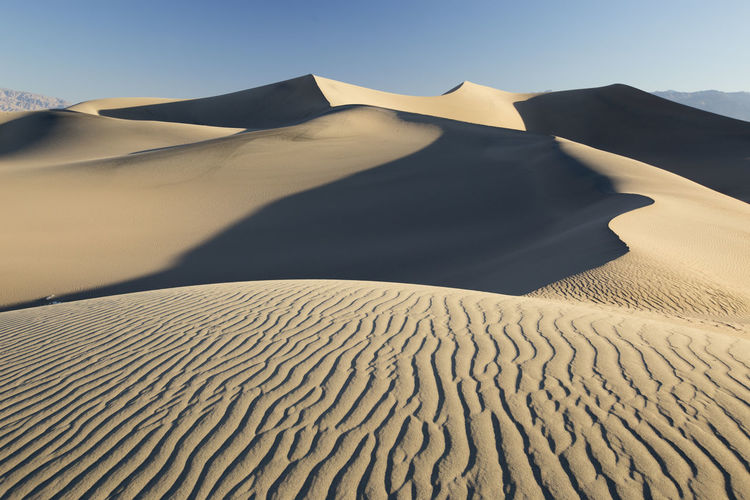 Sand dune in desert against sky