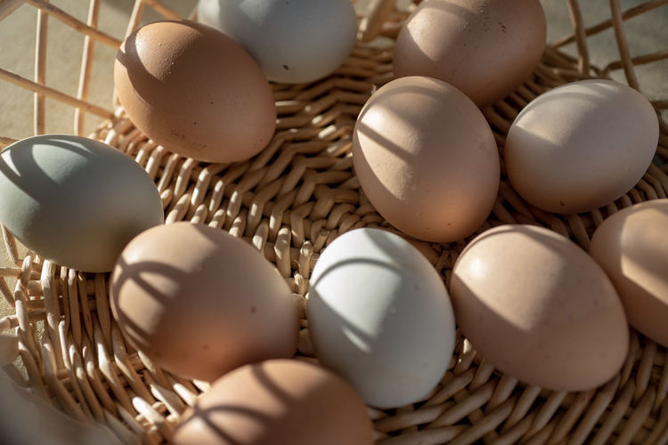 Basket of natural brown and bluish chicken eggs from local farmer's market