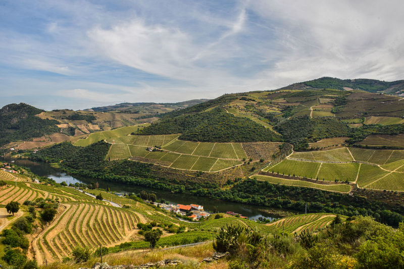 Douro valley with its slopes filled with vineyards