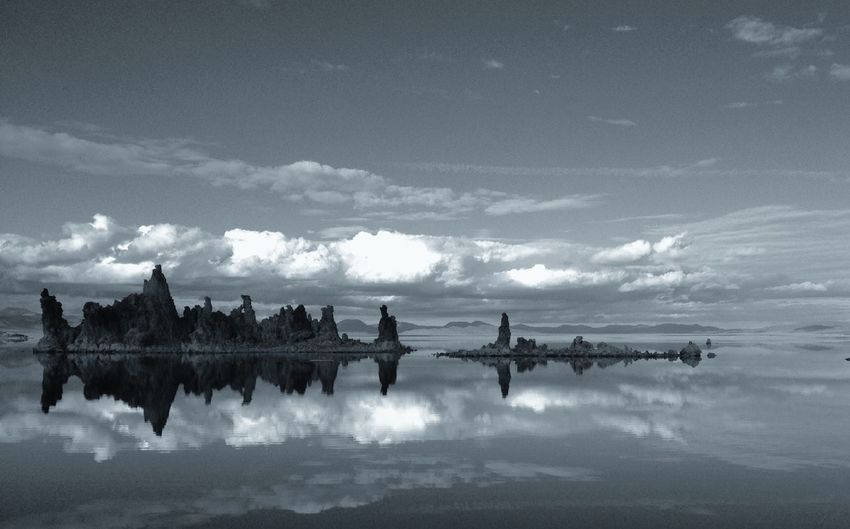 Reflection of trees in water