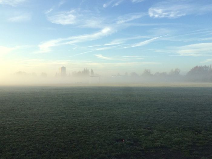 Scenic view of field against sky at morning