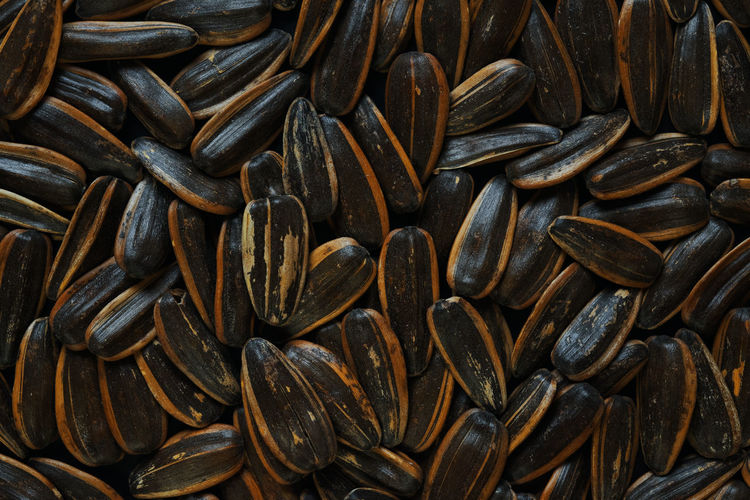 Full frame shot of sun flower seeds 