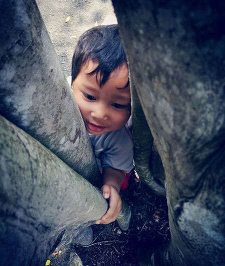 High angle portrait of cute baby boy against tree trunk