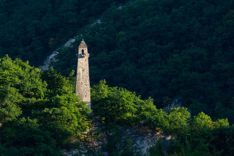 Ancient tower in the mountains of chechnya. plants growing on land against trees in forest