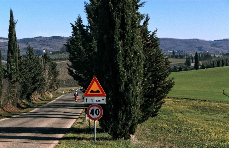 Road sign by trees against clear sky