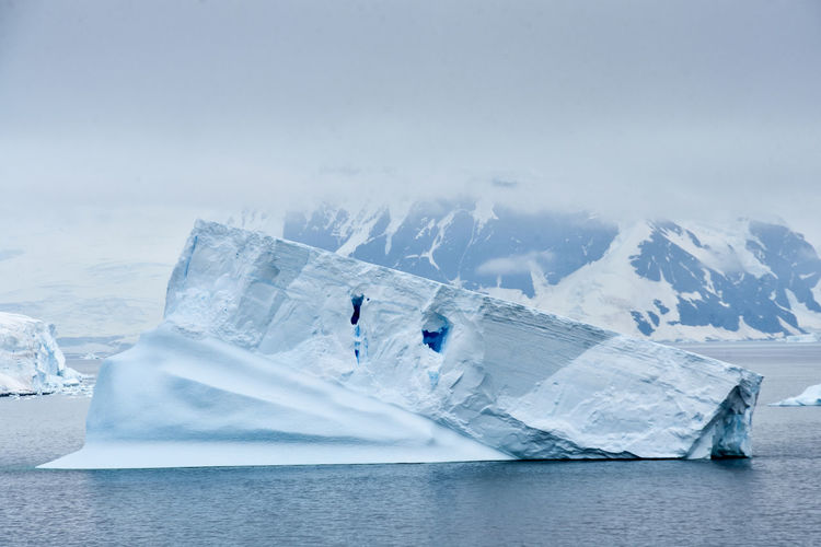 Icebergs in antarctica continent