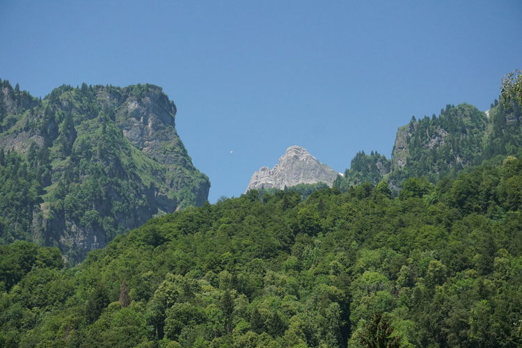 Panoramic view of trees and mountains against clear sky