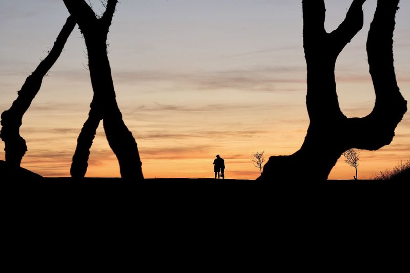 Silhouette people standing on land against sky during sunset