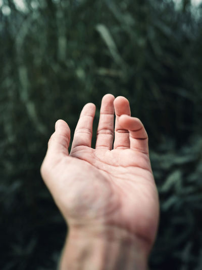 Close-up of human hand against blurred  dark green grass  background