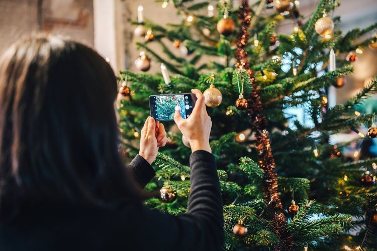 Rear view of man holding christmas tree