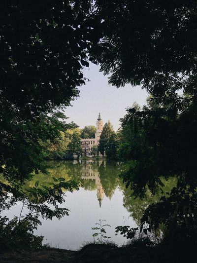 Reflection of trees on lake against sky