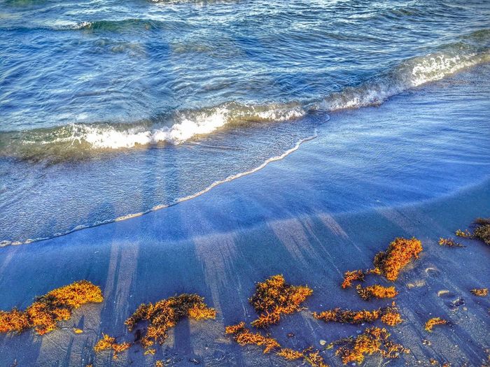 High angle view of shore during sunset at boca raton beach