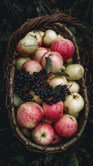 High angle view of apples in basket