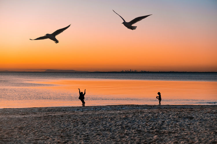 Silhouettes of children playing on ocean beach at sunset with birds flying 