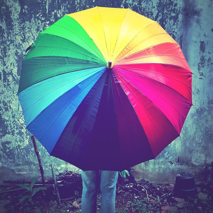 Rear view of person with colorful umbrella