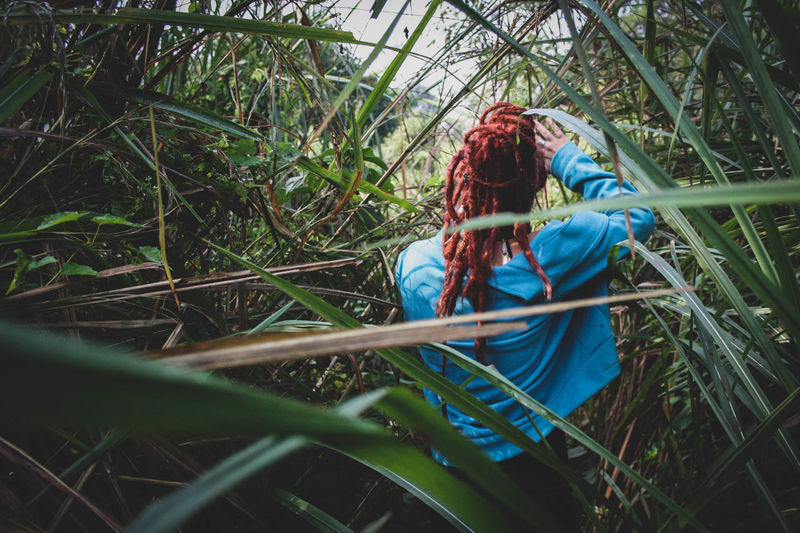People in forest