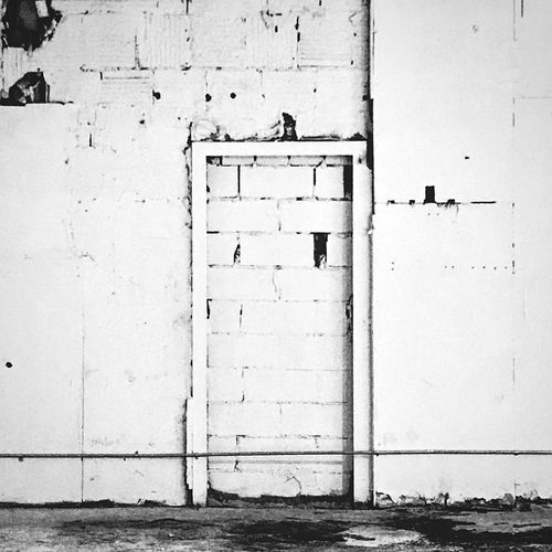 Close-up of door