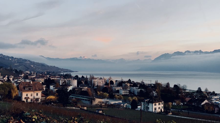 Took this picture on pully switzerland. and seeing lake leman switzerland part