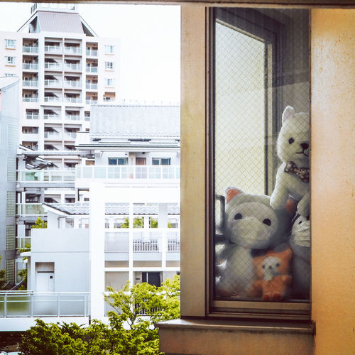 View of masked stuffed toy outside building