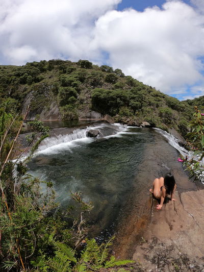 Dog looking at waterfall
