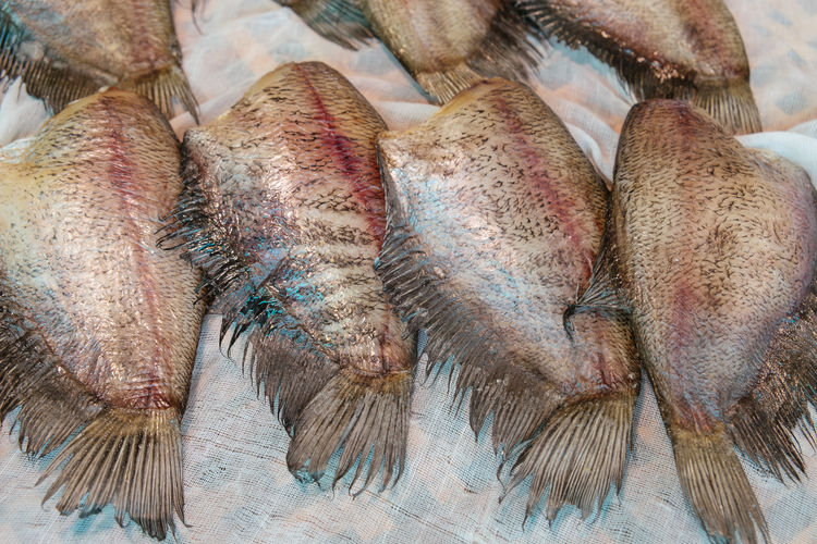 Sun-dried salty raw snakeskin gourami fishes for sale in the local fresh market in thailand.
