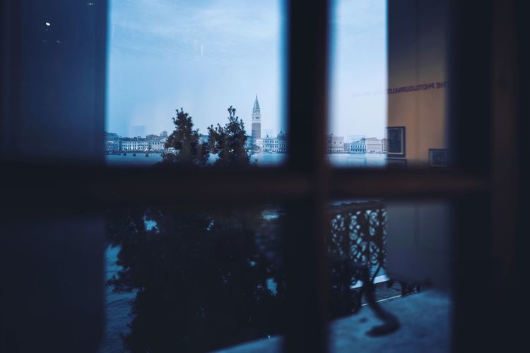 Reflection of trees on glass window