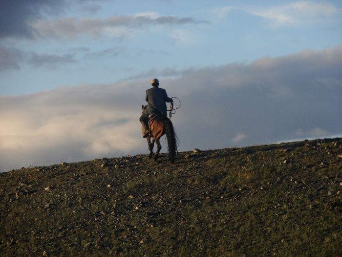 Rear view of man riding horse on land against sky