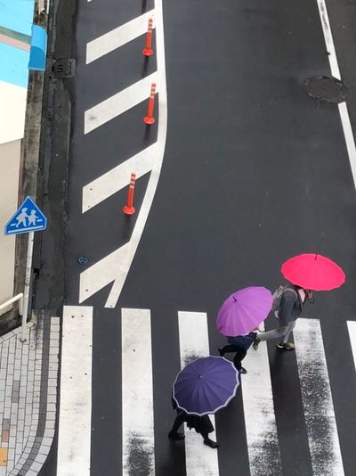High angle view of umbrella on road